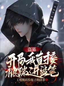 盗墓:开局我直接被踹进盗笔