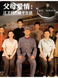 父母爱情:江卫民的躺平生活